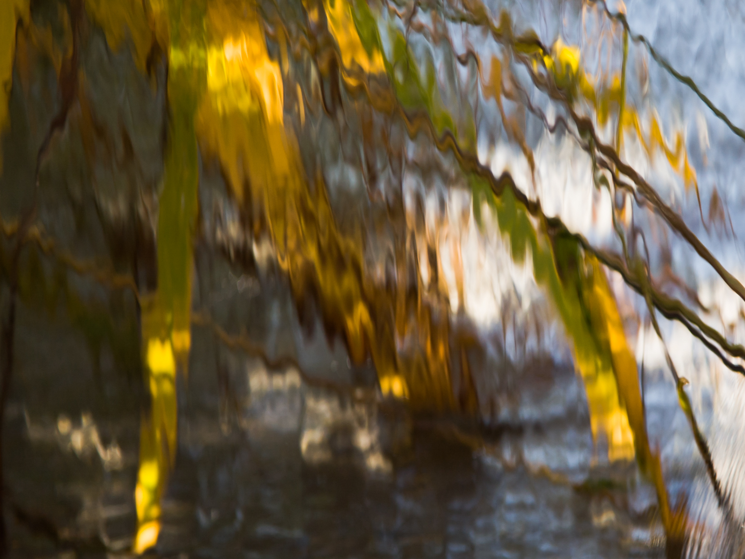 Impression VIII.jpg