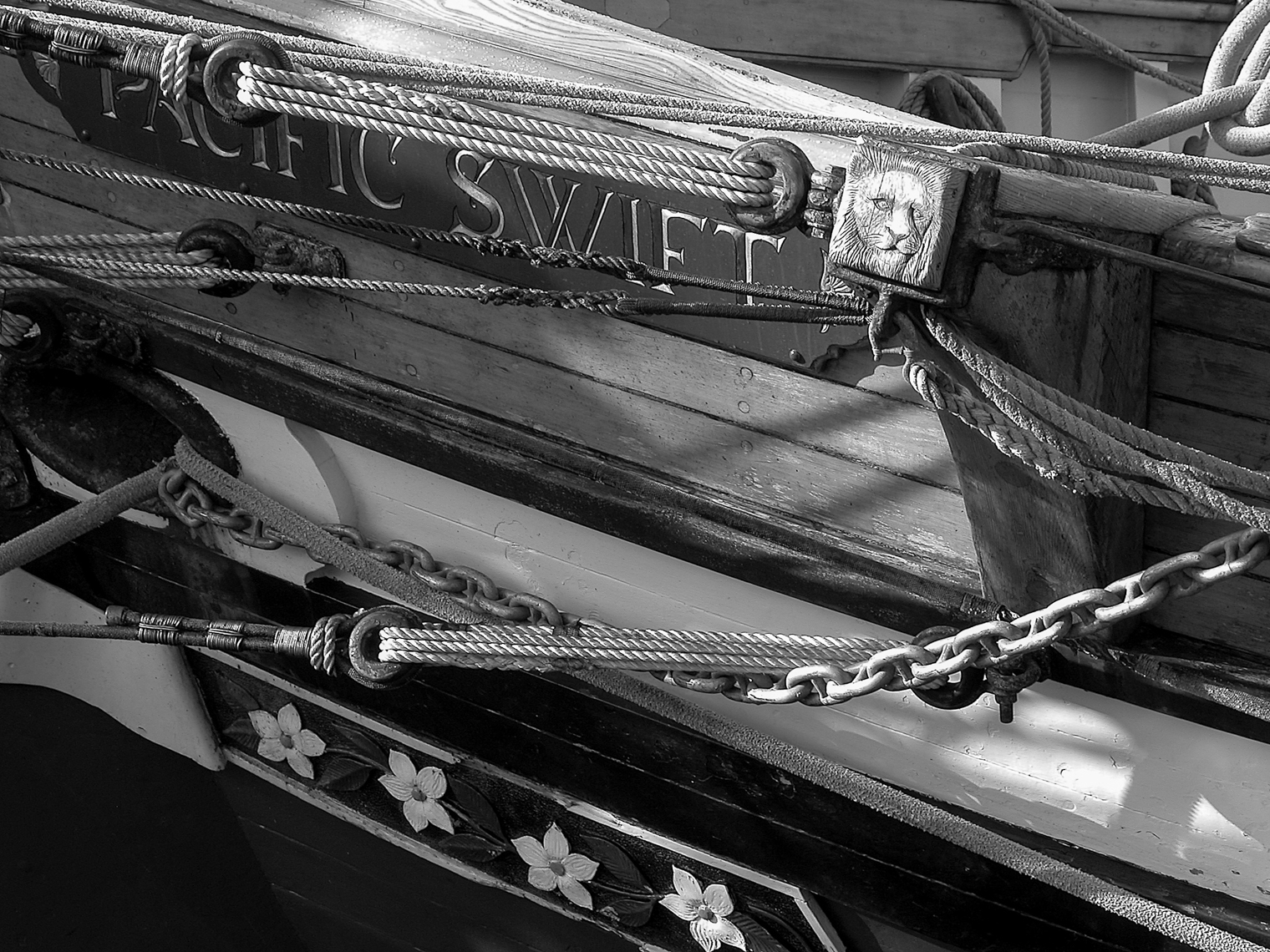 Marine Details XII.jpg