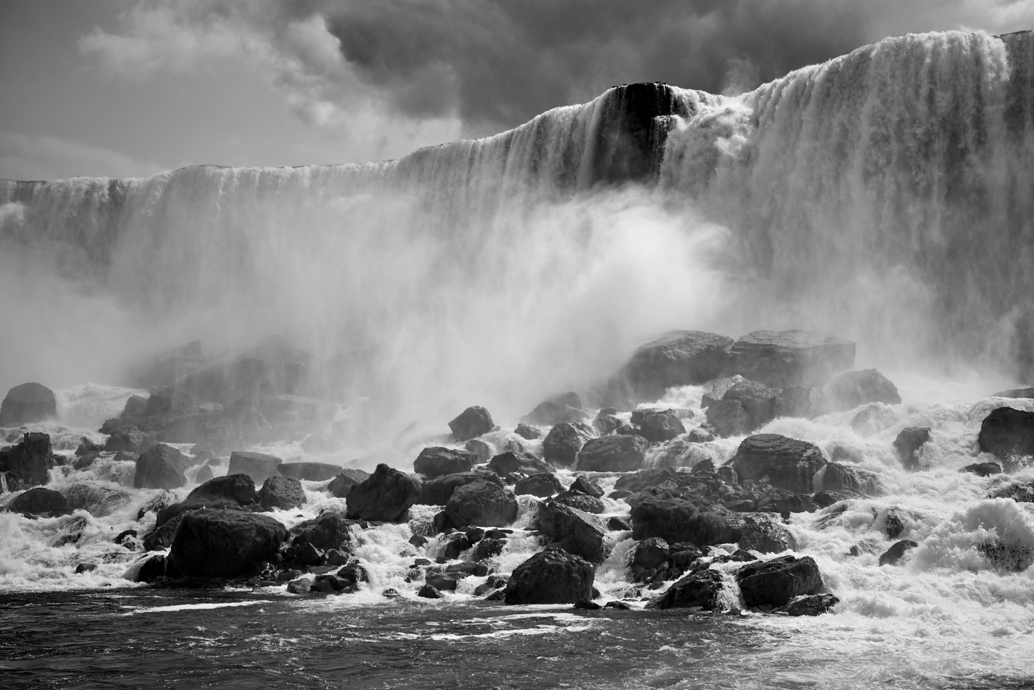 _DSC3988